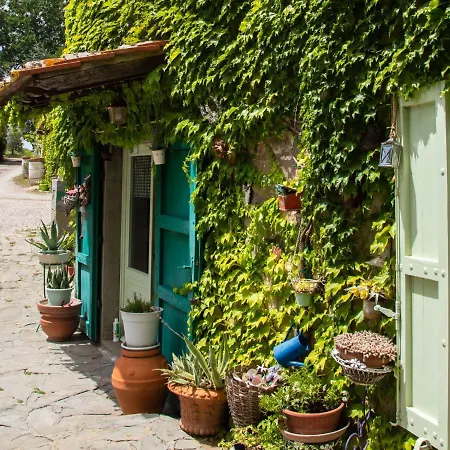 Casa de Férias Il Cherubino By Interhome